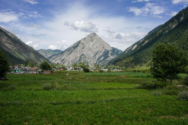 KASHMIR - GUREZ VALLEY