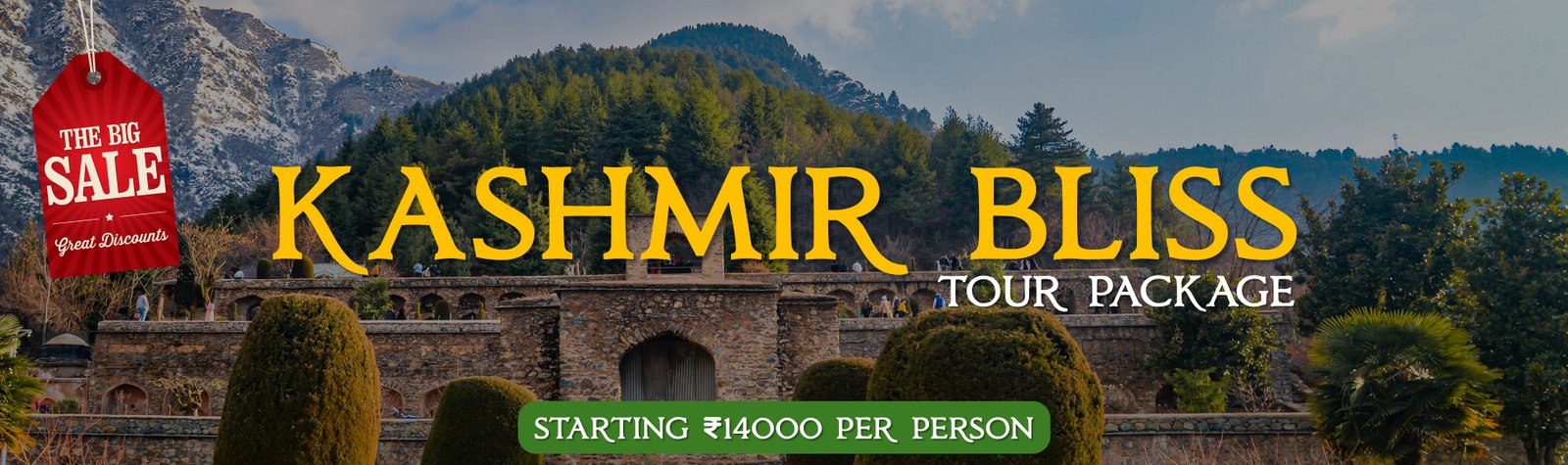 Special Travel Offer