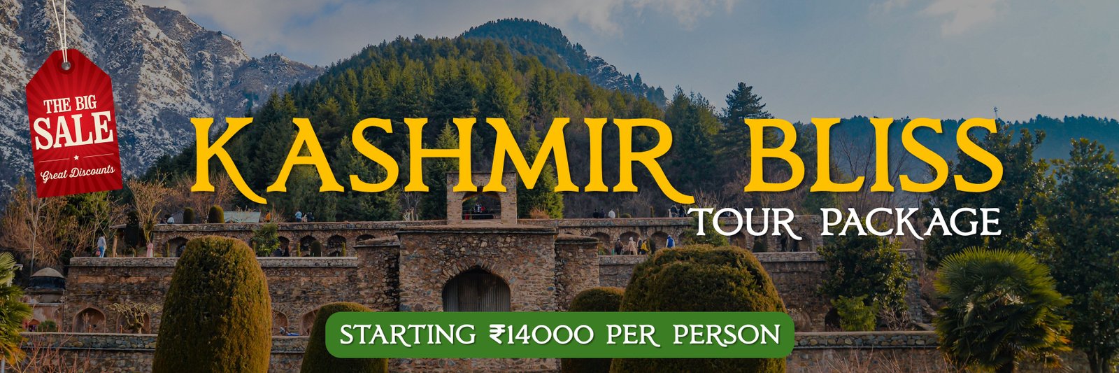 Special Travel Offer