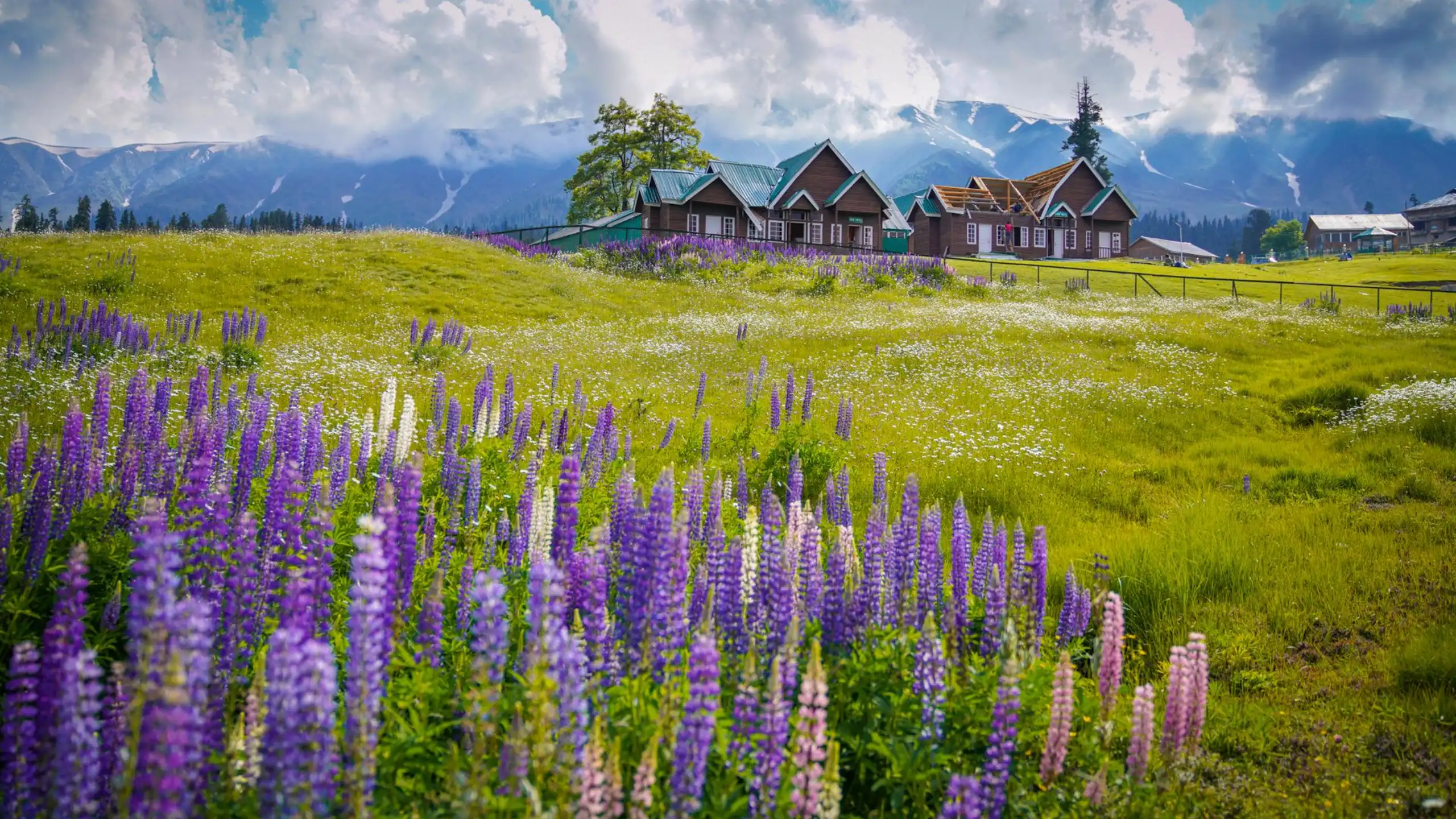 Your Trusted Kashmir Travel Company for Hassle-Free Trips